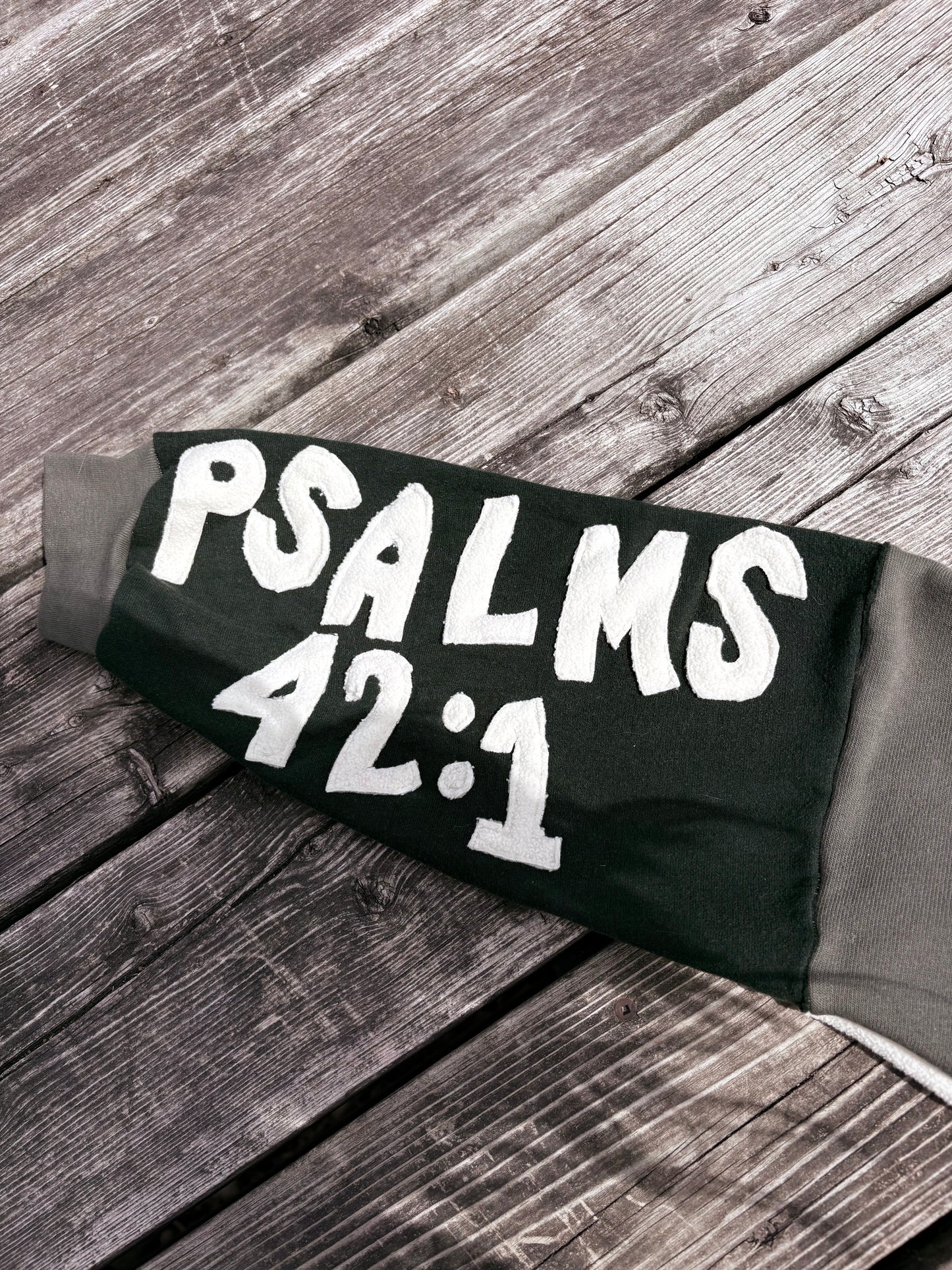 PSALMS 42:1